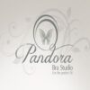 Pandora Bra Studio