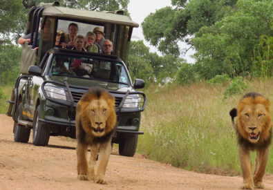 Kruger National Park...