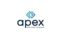 Apex Real Time Solut...