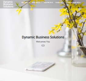 Dynamic Business Sol...