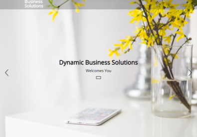 Dynamic Business Sol...