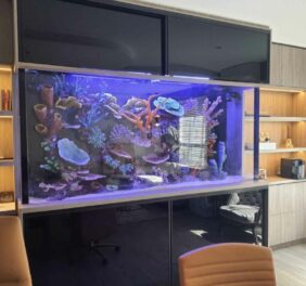 Custom Aquariums